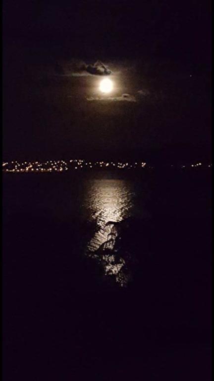 Serenity On Wakeman Taupo Luaran gambar